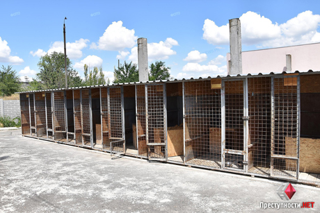 Фото новости: В Николаеве полиция открыла уголовное производство из-за усыпления собак в «Центре защиты животных» Свежие новости: В Николаеве полиция открыла уголовное производство из-за усыпления собак в «Центре защиты животных»