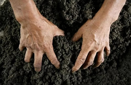 Свежие новости: Правоохоронці Вознесенського району припинили «рейдерське» захоплення майна сільськогосподарських підприємств на загальну суму понад 10 млн грн