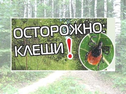 Свежие новости: Увага! У Вознесенську виявлено інфікованих кліщів!