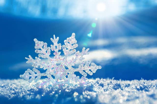 Свежие новости: Синоптики прогнозируют николаевцам сильный ветер и гололед