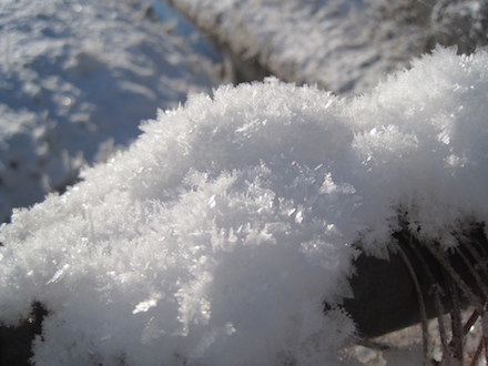 Свежие новости: Синоптики: Украинцев ждут ранние заморозки