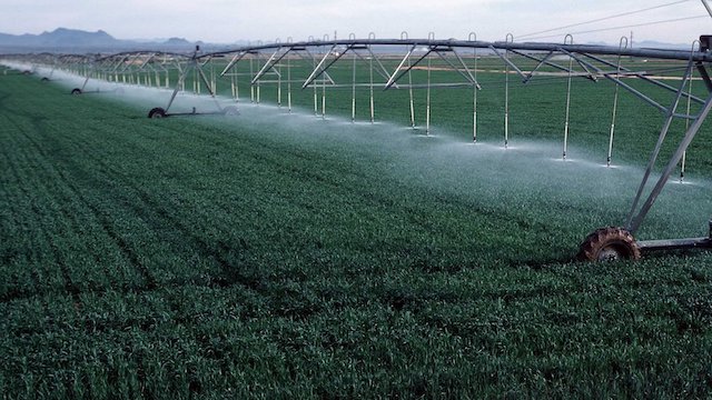 Свежие новости: Кабмін компенсуватиме до 50% витрат аграріям на поливні системи у прифронтових регіонах
