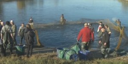 Свежие новости: На Миколаївщині відбулося наймасштабніше зариблення за останні 5 років