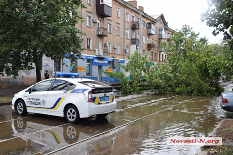 Свежие новости: В Николаеве на проезжую часть рухнул клен — движение трамваев заблокировано
