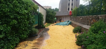 Свежие новости: В Первомайске у фуры перевернулся прицеп с 30 тоннами кукурузы