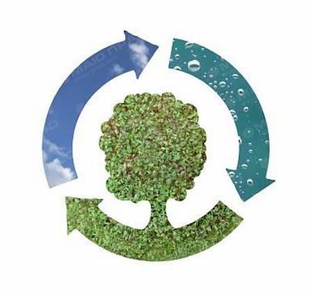 Свежие новости: В Вознесенке определили предприятия, которое будет заниматься вывозом ТБО