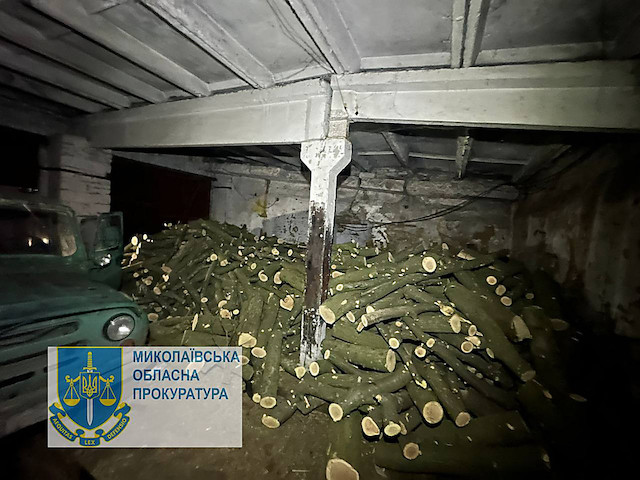 Свежие новости: На Миколаївщині поліцейський організував незаконну рубку дерев