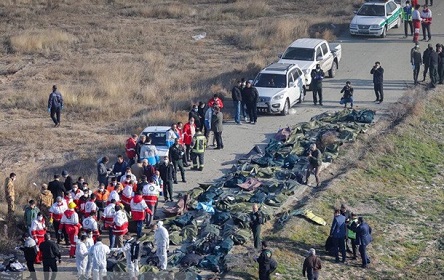 Свежие новости: Появились новые кадры с места авиакатастрофы