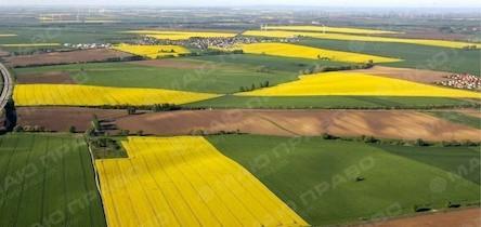 Свежие новости: На Миколаївщині з початку року здійснено 429 перевірок дотримання вимог земельного законодавства