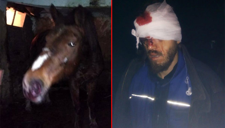 Свежие новости: Как в вестерне: в Одесской области со стрельбой задержали 