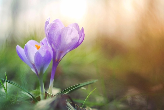 Свежие новости: Синоптик сообщила, когда ждать потепления в Украине