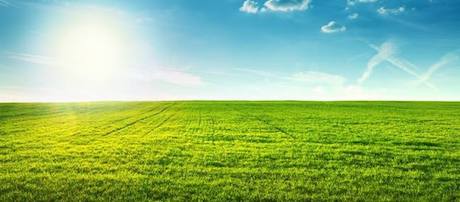 Свежие новости: Верховная Рада продлила мораторий на продажу земли