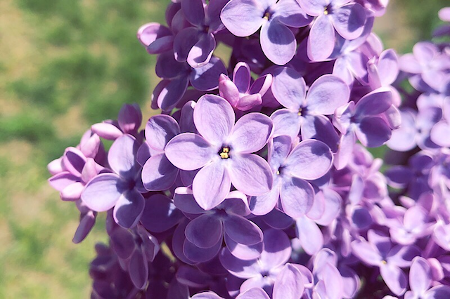 Свежие новости: Украину накрыли дожди с грозами: когда улучшится погода