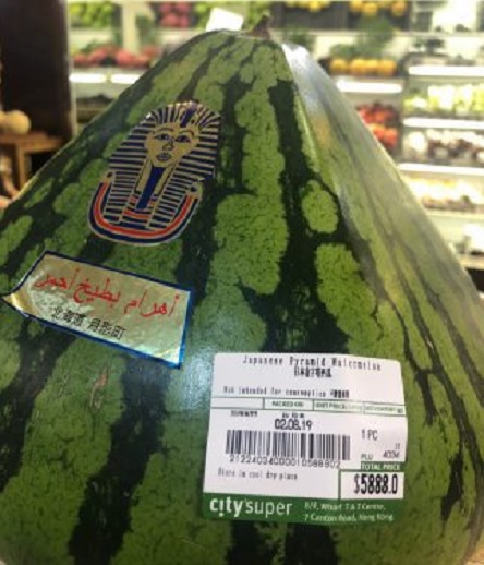 Свежие новости: Кавун в формі піраміди за 18 тисяч гривень