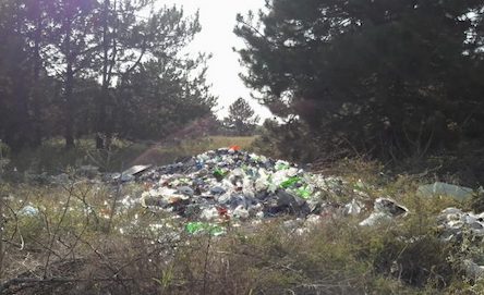 Свежие новости: Отдыхающие в Коблево возмущены свалками мусора в некогда красивом сосновом бору