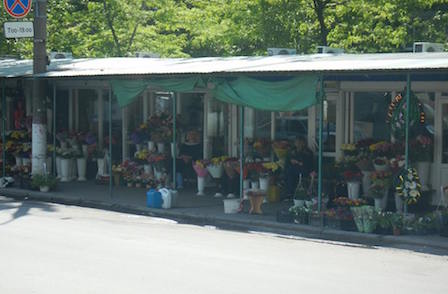 Свежие новости: В Миколаєві розігнали стихійних торговців