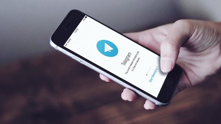 Свежие новости: Telegram-бот будет контролировать самоизолированных в Киеве