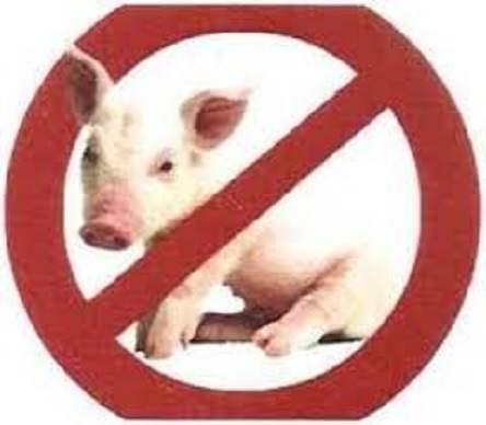 Свежие новости: ОБЕРЕЖНО! АФРИКАНСЬКА ЧУМА СВИНЕЙ (АЧС)!