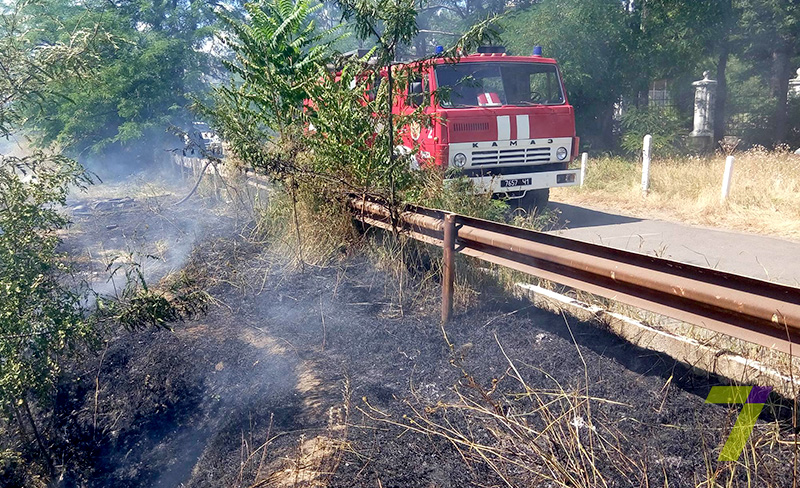 Свежие новости: В Одессе горят прибрежные склоны (ВИДЕО)