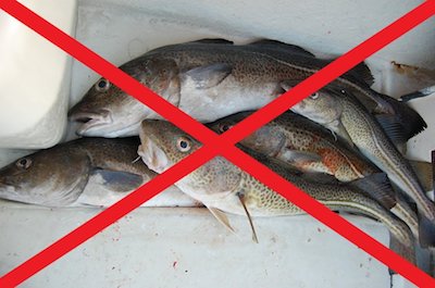 Свежие новости: У Миколаївській та Херсонській областях заборонили продавати рибу