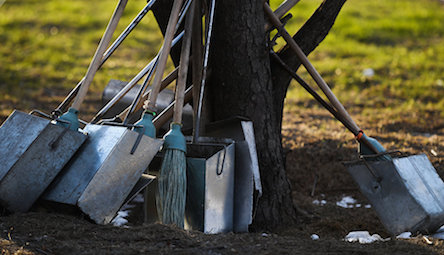 Свежие новости: В Николаеве к уборке территории привлекают работников, направленных центром занятости