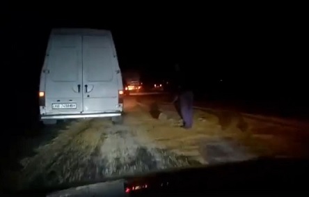 Свежие новости: ВИДЕО: Под Николаевом у КамАЗа перевернулся прицеп с зерном