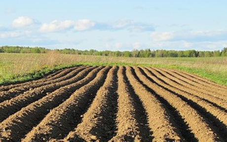 Свежие новости: На Николаевщине выявили почти полсотни нарушений требований земельного законодательства
