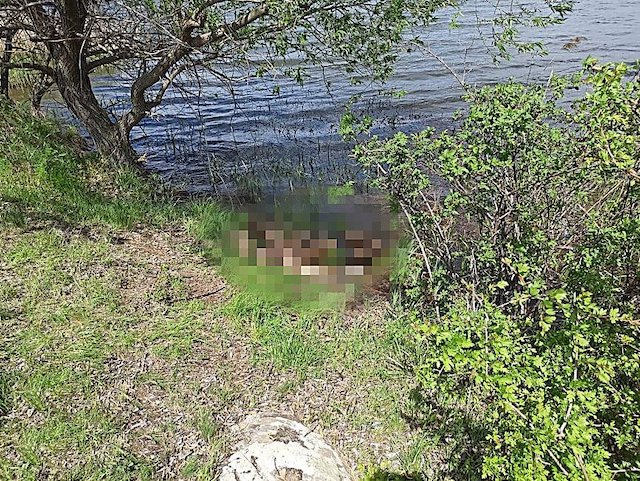 Свежие новости: На Николаевщине в реке обнаружили тело мужчины