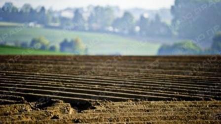 Свежие новости: Первомайская местная прокуратура вернула землю государству