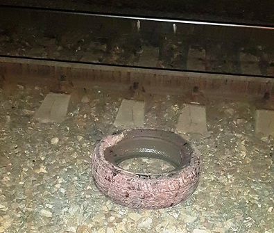 Свежие новости: В Первомайске развлечения подростков могли привести к аварии поезда