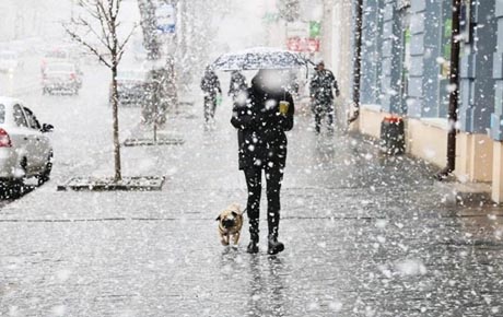 Свежие новости: Часть Украины засыпало снегом