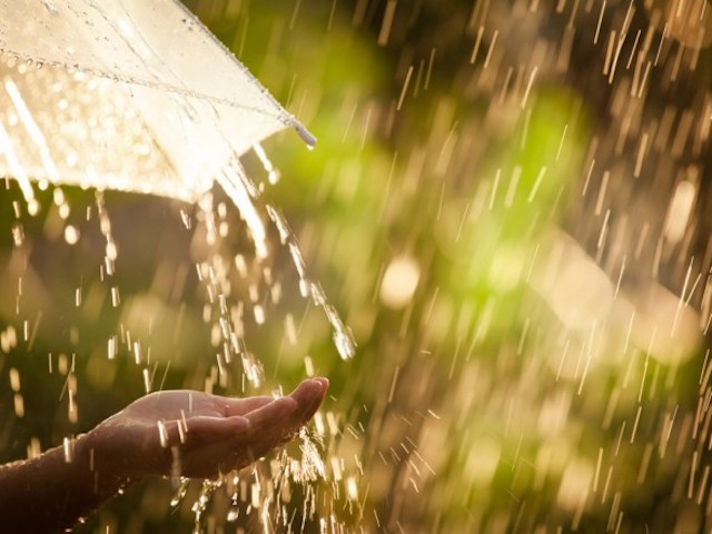 Свежие новости: Ливень и мокрый снег: Синоптики прогнозируют ухудшение погоды к пятнице