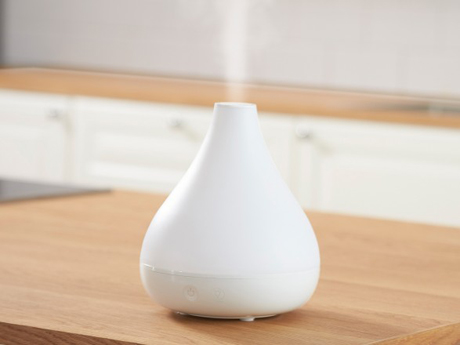 Свежие новости: Врач рассказал о вреде увлажнителей воздуха