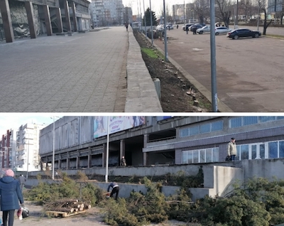 Свежие новости: В Николаеве уничтожили туи, высаженные напротив закрытого ТЦ
