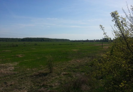 Свежие новости: На Николаевщине фермер незаконно использовал земли, общая стоимость которых 3 млн грн