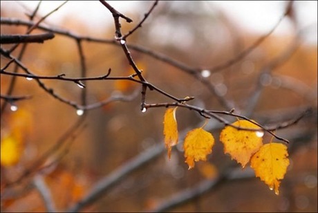 Свежие новости: В ближайшие сутки в Украине похолодает