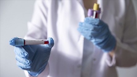 Свежие новости: В Николаевской области за сутки от COVID-19 выздоровели 3 человека, новых случаев нет