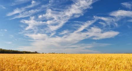 Свежие новости: Завтра в Украине будет сухо и жарко