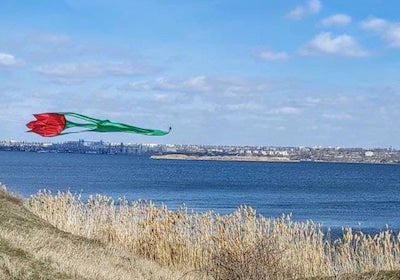 Свежие новости: В Николаевской области «расцвели» в небе 7-метровые тюльпаны