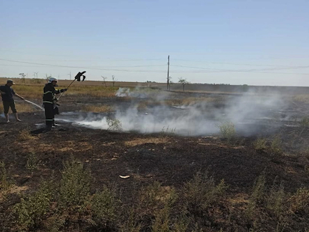 Свежие новости: На Миколаївщині 1 вересня зареєстровано 21 пожежу на відкритій території