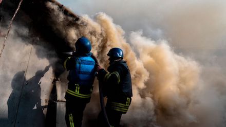 Свежие новости: 