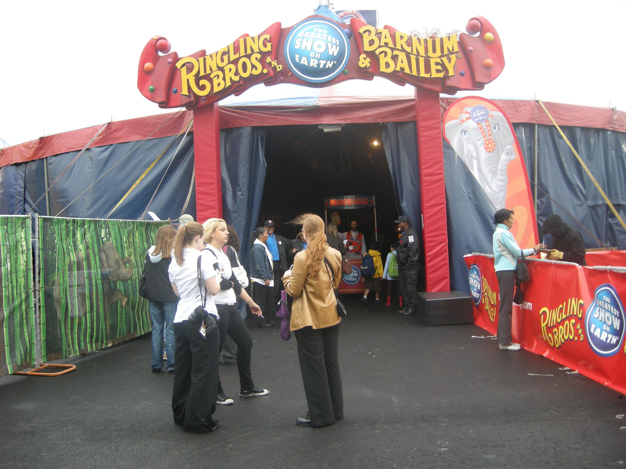 Свежие новости: Во Львове запретили размещение передвижных и других мобильных цирков