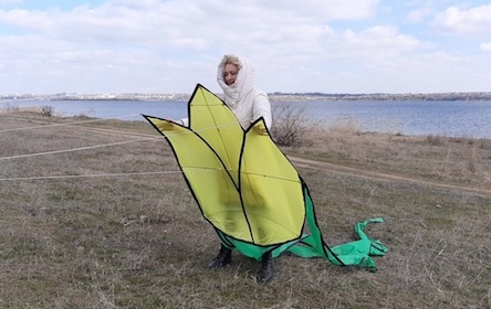 Свежие новости: Под Николаевом запустили воздушные змеи в виде тюльпанов