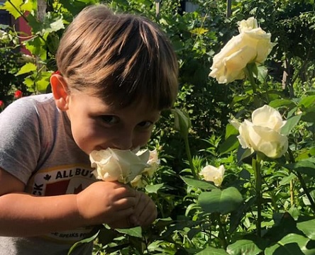 Свежие новости: ВИДЕО: Снайпер из армии Яроша, получивший орден от Порошенко. Как убивали ребенка бизнесмена Соболева и кто это сделал