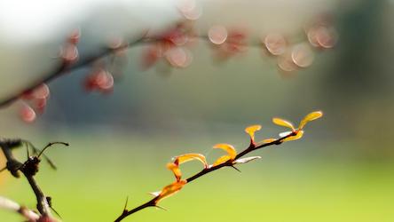 Свежие новости: До +22 тепла и дожди на западе: прогноз погоды на сегодня