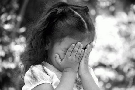 Свежие новости: 