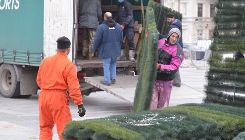Свежие новости: В Николаеве на Соборной площади устанавливают елку