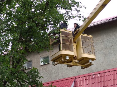 Фото новости: В Снигиревке на электрические провода упала ветка дерева Свежие новости: В Снигиревке на электрические провода упала ветка дерева