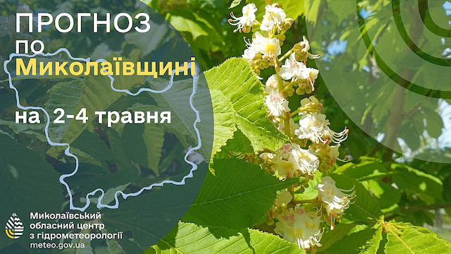 Свежие новости: На Миколаївщині очікуються нічні заморозки — прогноз на три доби