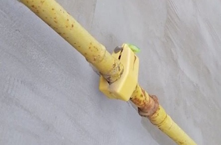 Свежие новости: Николаевцу, у которого два года отключен газ, пришла платежка за услугу